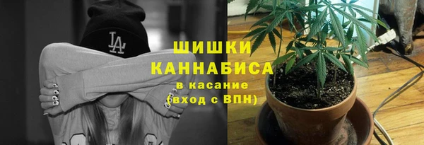 каннабис Алзамай