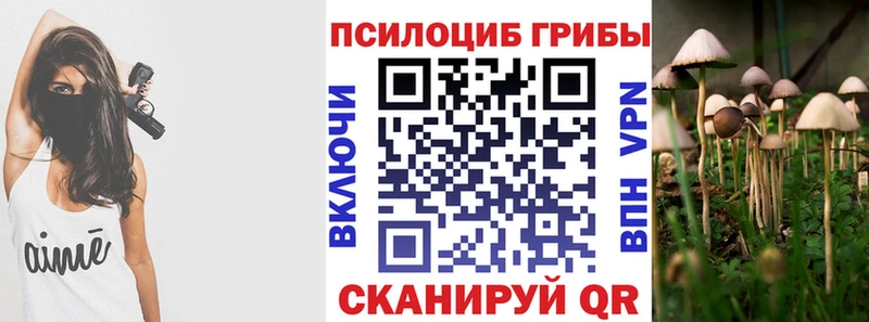 Псилоцибиновые грибы GOLDEN TEACHER  Удачный 