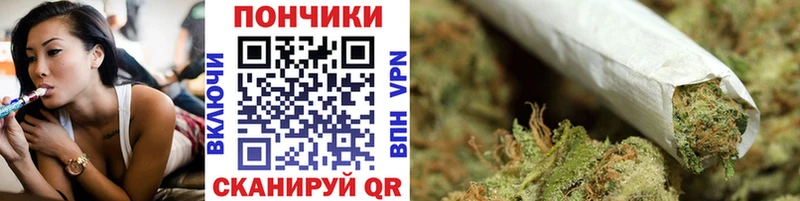 Канабис план  Удачный 